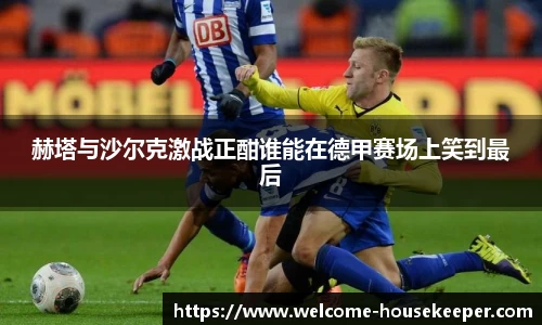 赫塔与沙尔克激战正酣谁能在德甲赛场上笑到最后